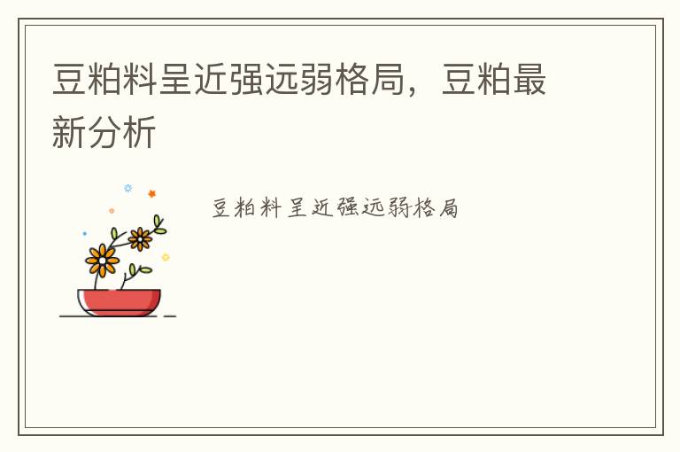 豆粕料呈近强远弱格局，豆粕最新分析