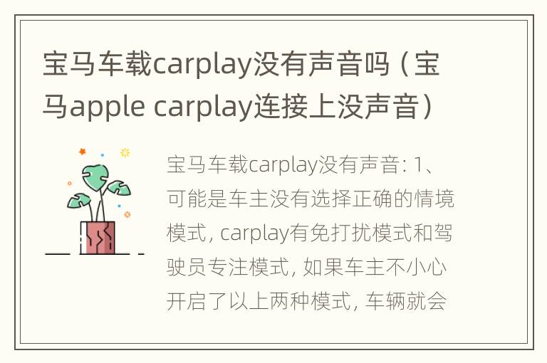 宝马车载carplay没有声音吗（宝马apple carplay连接上没声音）