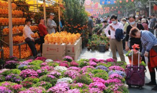过年家里适合摆什么（过年家里适合摆什么花）