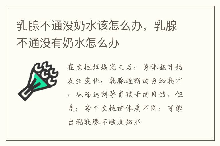 乳腺不通没奶水该怎么办，乳腺不通没有奶水怎么办