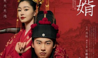 赘婿分集剧情 关于赘婿1-5集分集剧情