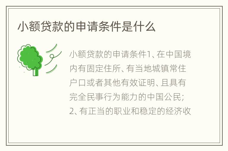小额贷款的申请条件是什么