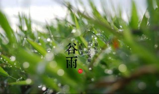 谷雨的拼音怎么写 谷雨节气介绍