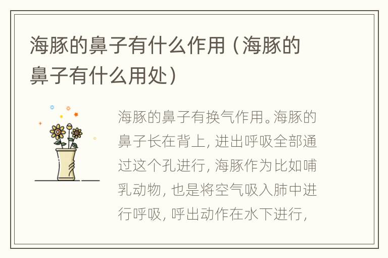海豚的鼻子有什么作用（海豚的鼻子有什么用处）