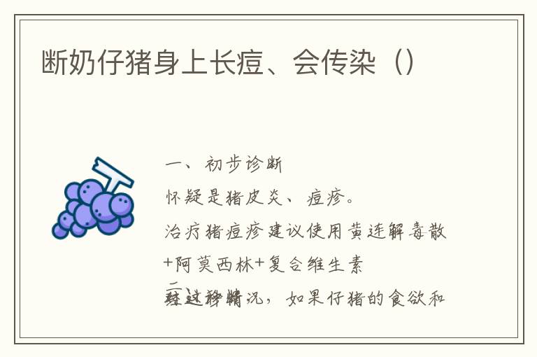 断奶仔猪身上长痘、会传染（）