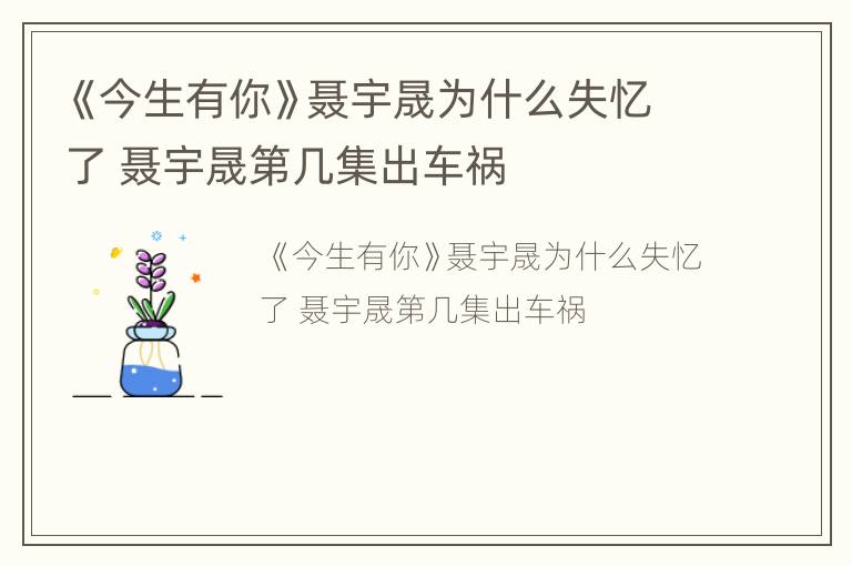 《今生有你》聂宇晟为什么失忆了 聂宇晟第几集出车祸
