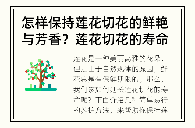 怎样保持莲花切花的鲜艳与芳香？ 莲花切花的寿命如何延长？