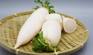 萝卜是凉性还是热性 关于萝卜的食物属性介绍