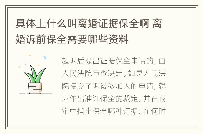 具体上什么叫离婚证据保全啊 离婚诉前保全需要哪些资料