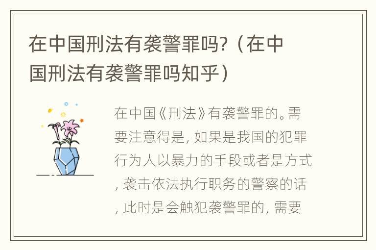 在中国刑法有袭警罪吗？（在中国刑法有袭警罪吗知乎）