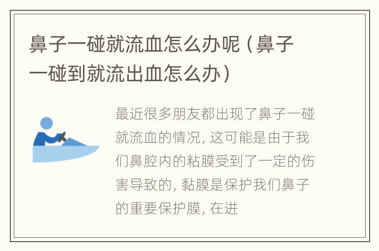 鼻子一碰就流血怎么办呢（鼻子一碰到就流出血怎么办）