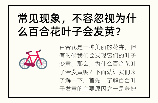 常见现象，不容忽视 为什么百合花叶子会发黄？
