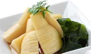 新鲜的笋煮熟可以冷冻吗 熟竹笋放冷冻可以保存多久？