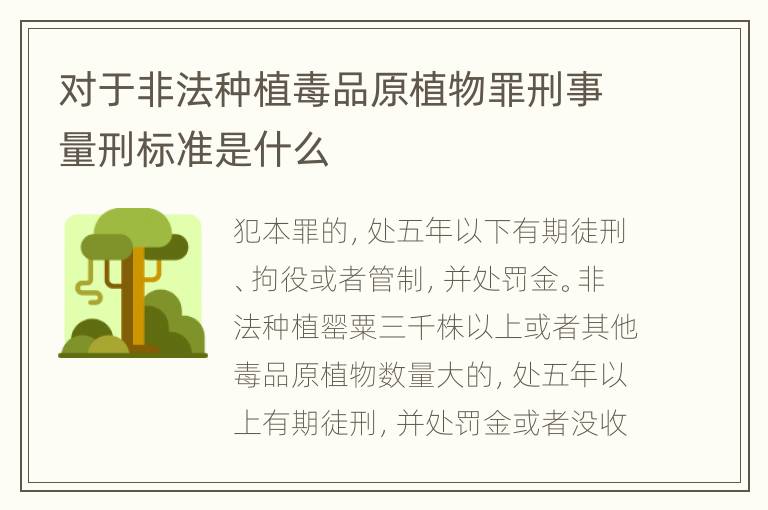 对于非法种植毒品原植物罪刑事量刑标准是什么
