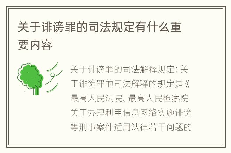关于诽谤罪的司法规定有什么重要内容