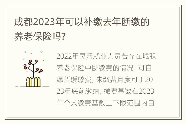 成都2023年可以补缴去年断缴的养老保险吗？