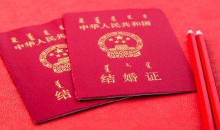 520结婚登记怎么预约 怎么预约520结婚登记