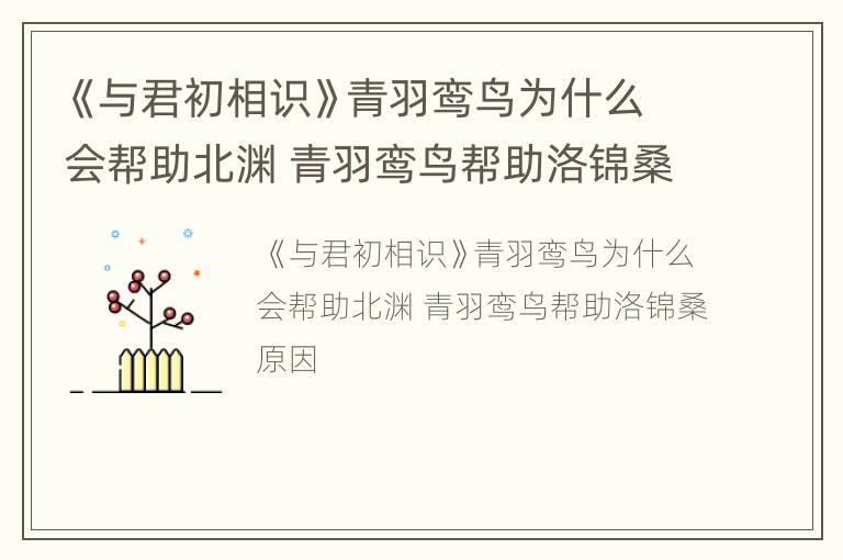 《与君初相识》青羽鸾鸟为什么会帮助北渊 青羽鸾鸟帮助洛锦桑原因