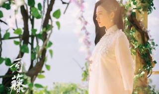 司藤中的禹航是什么地方 电视剧司藤中的禹航是哪里