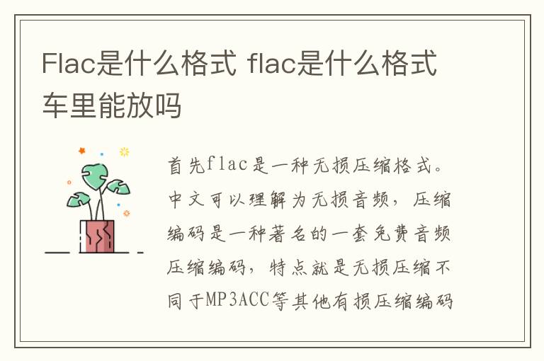 Flac是什么格式 flac是什么格式车里能放吗