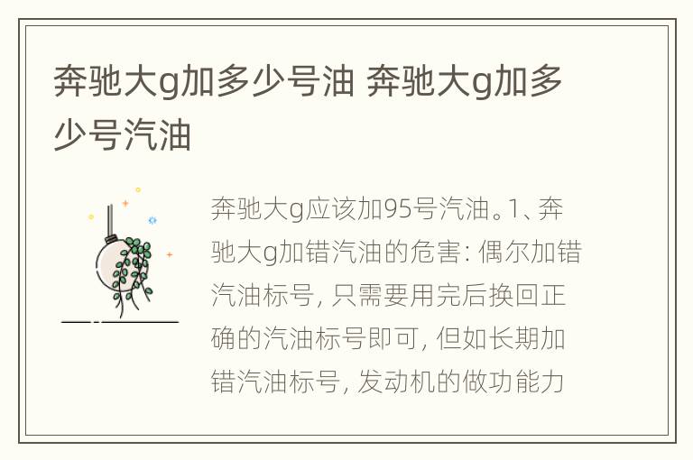 奔驰大g加多少号油 奔驰大g加多少号汽油