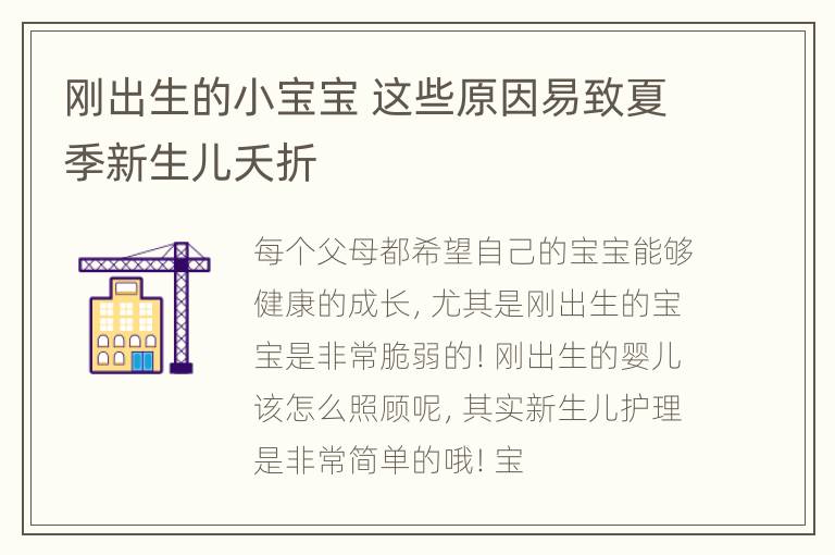 刚出生的小宝宝 这些原因易致夏季新生儿夭折