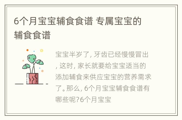 6个月宝宝辅食食谱 专属宝宝的辅食食谱