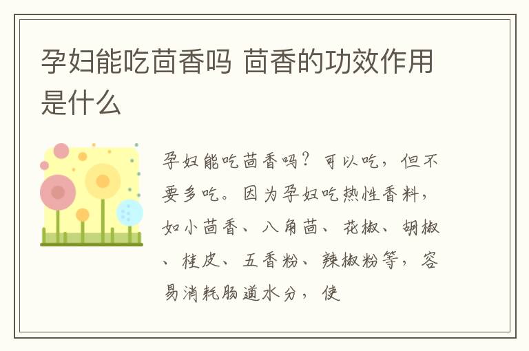 孕妇能吃茴香吗 茴香的功效作用是什么