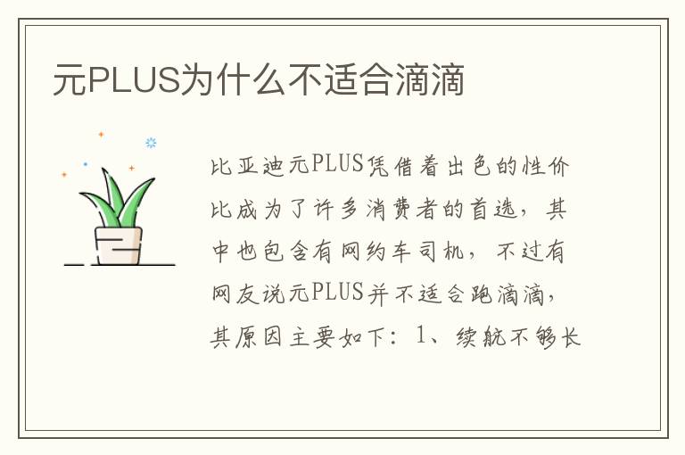 元PLUS为什么不适合滴滴