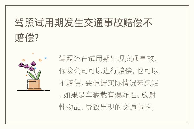驾照试用期发生交通事故赔偿不赔偿？