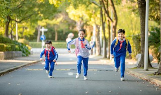 小学鸡是什么意思 小学鸡的解释