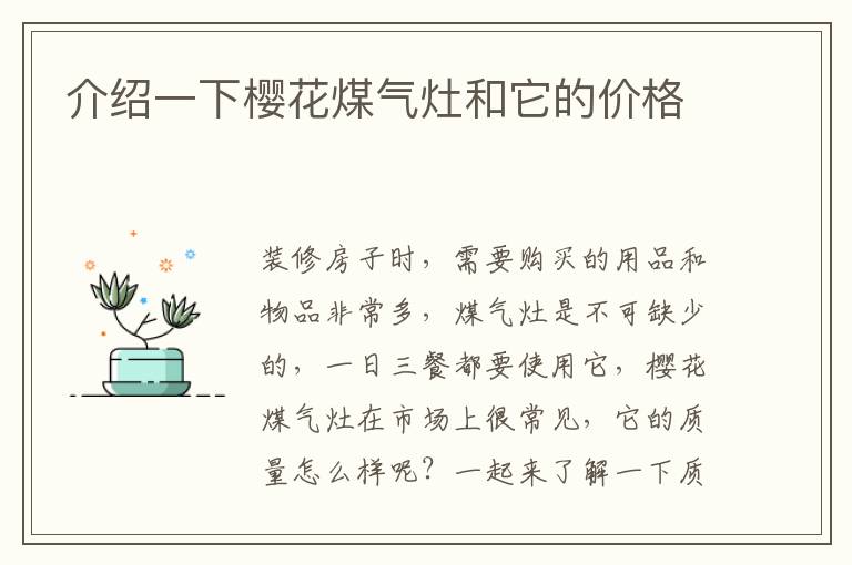 介绍一下樱花煤气灶和它的价格