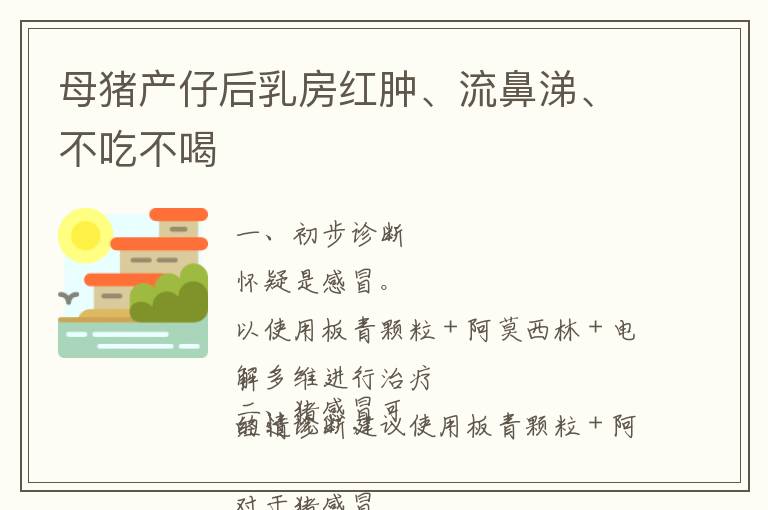 母猪产仔后乳房红肿、流鼻涕、不吃不喝