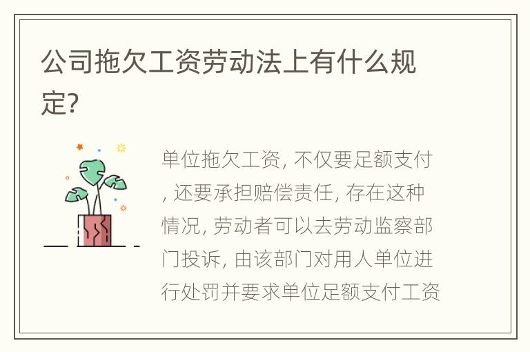 公司拖欠工资劳动法上有什么规定？