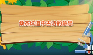 桑茶坑道中古诗的意思 桑茶坑道中作者是谁