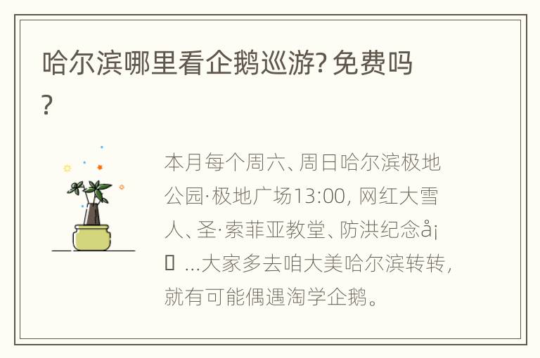 哈尔滨哪里看企鹅巡游？免费吗？