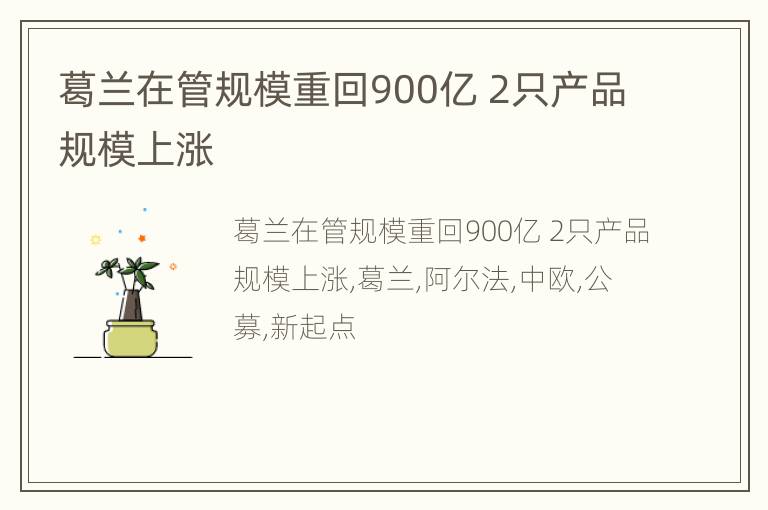 葛兰在管规模重回900亿 2只产品规模上涨