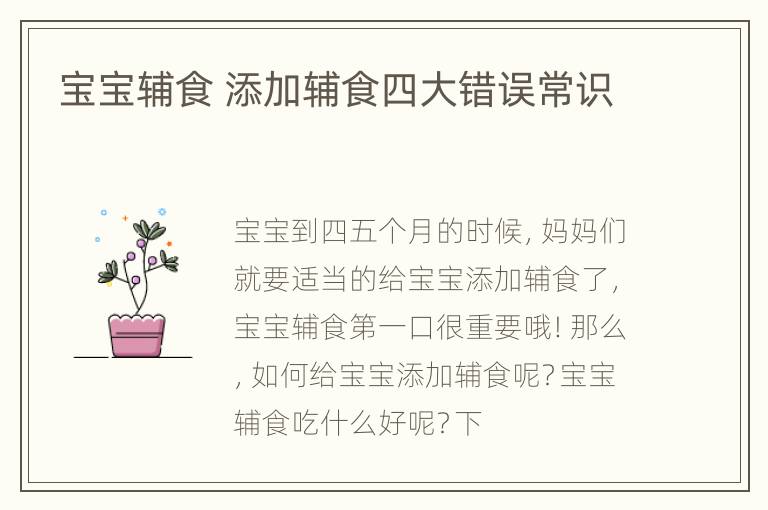 宝宝辅食 添加辅食四大错误常识