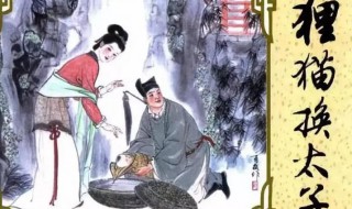 狸猫换太子的历史真相是怎样的 狸猫换太子的历史内容