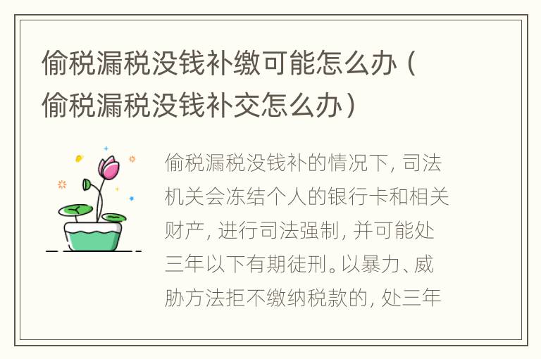 偷税漏税没钱补缴可能怎么办（偷税漏税没钱补交怎么办）