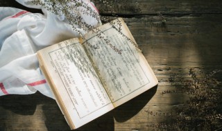 春江水暖鸭先知的上一句是 春江水暖鸭先知原文及翻译