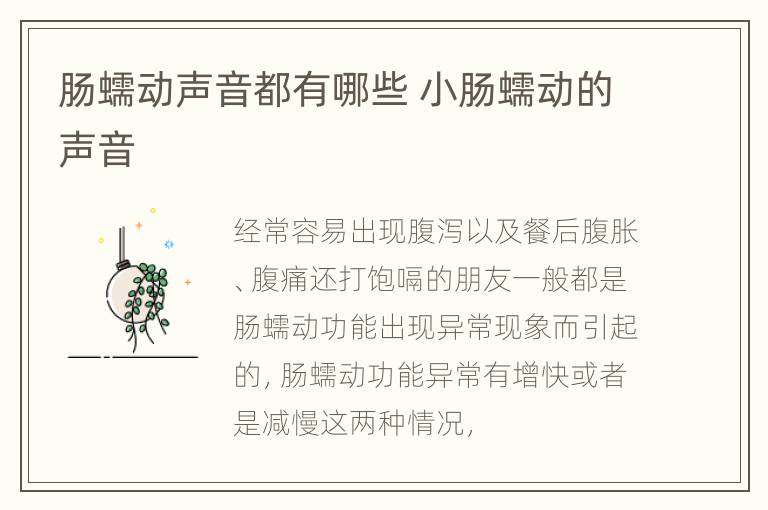 肠蠕动声音都有哪些 小肠蠕动的声音