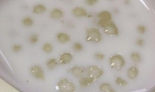 豆奶西米露怎么做 豆奶西米露的制作方法