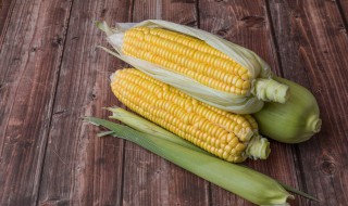 玉米怎么储藏最好 玉米储藏方法