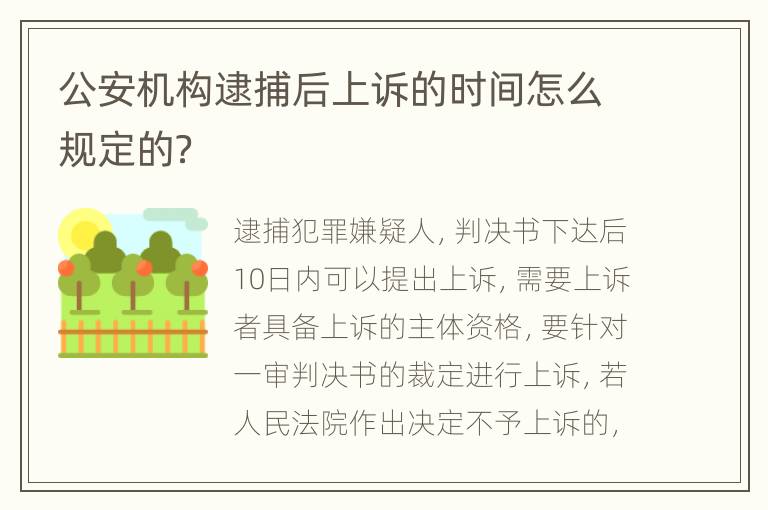 公安机构逮捕后上诉的时间怎么规定的？