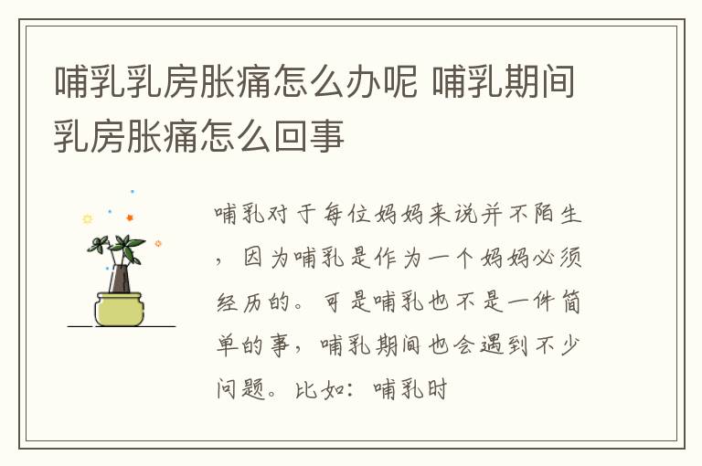 哺乳乳房胀痛怎么办呢 哺乳期间乳房胀痛怎么回事