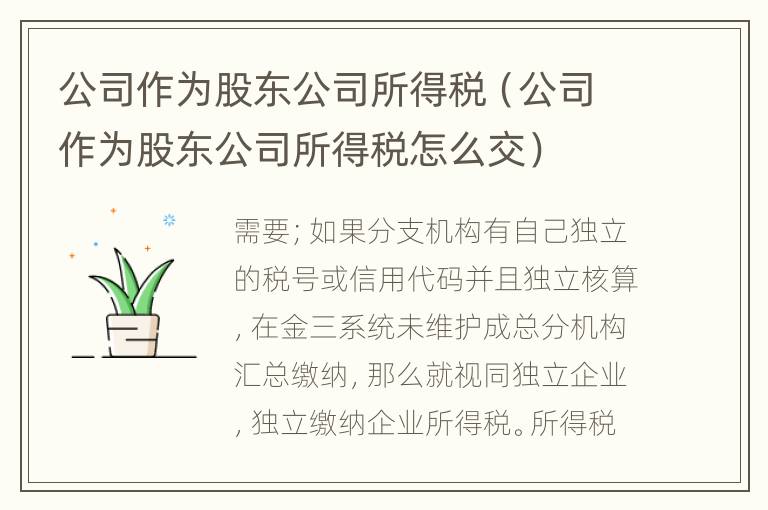 公司作为股东公司所得税（公司作为股东公司所得税怎么交）