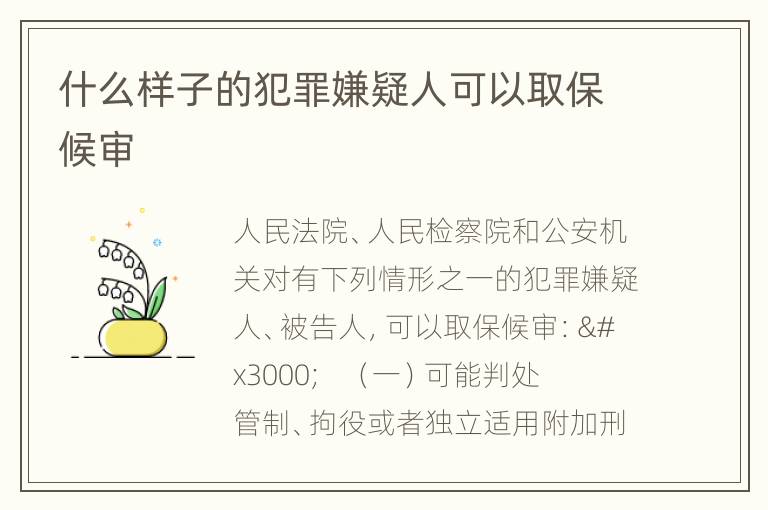 什么样子的犯罪嫌疑人可以取保候审