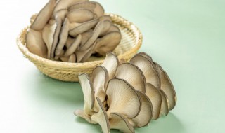 平菇怎么养，平菇怎么养殖视频