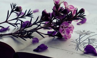 给英烈献花留言 英烈献花留言简短